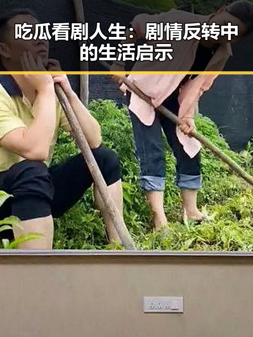 吃瓜看剧人生：剧情反转中的生活启示
