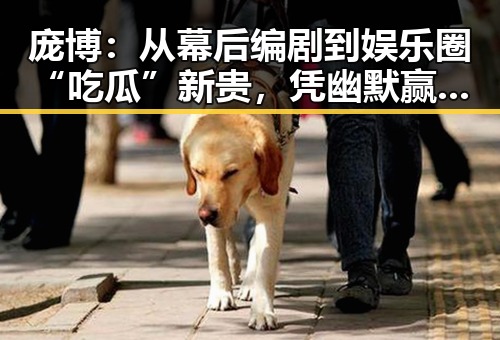 庞博：从幕后编剧到娱乐圈“吃瓜”新贵，凭幽默赢得一片天地✨